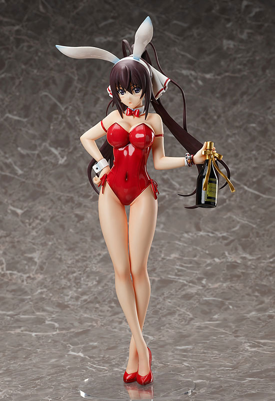 Infinite Stratos: Houki Shinonono Bare Leg Bunny Ver. (Complete Figure)