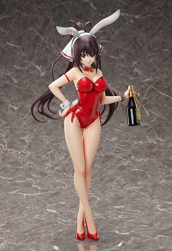 Infinite Stratos: Houki Shinonono Bare Leg Bunny Ver. (Complete Figure)