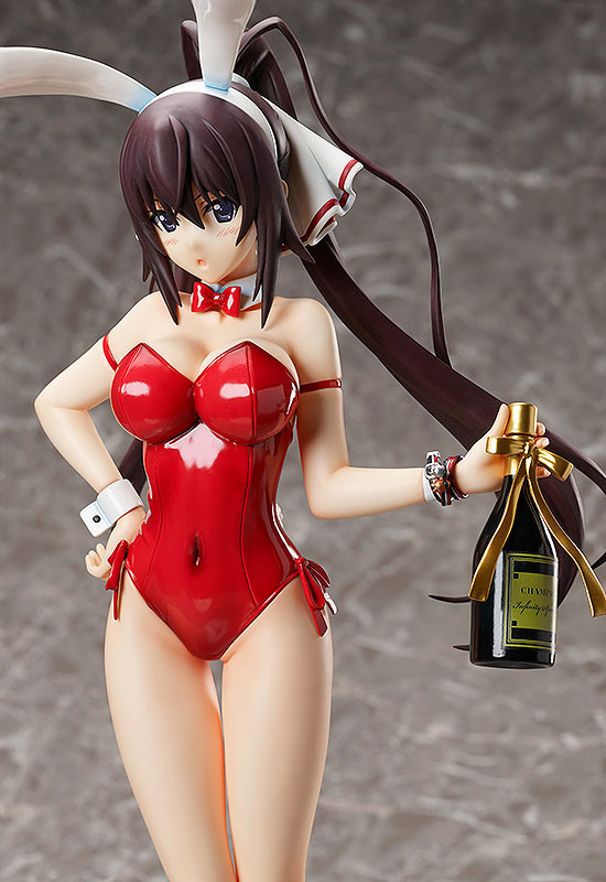 Infinite Stratos: Houki Shinonono Bare Leg Bunny Ver. (Complete Figure)